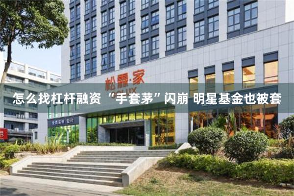 怎么找杠杆融资 “手套茅”闪崩 明星基金也被套