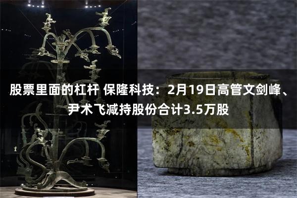 股票里面的杠杆 保隆科技：2月19日高管文剑峰、尹术飞减持股份合计3.5万股