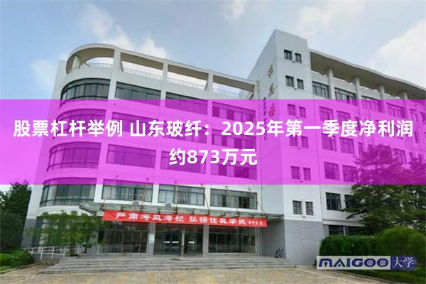 股票杠杆举例 山东玻纤：2025年第一季度净利润约873万元