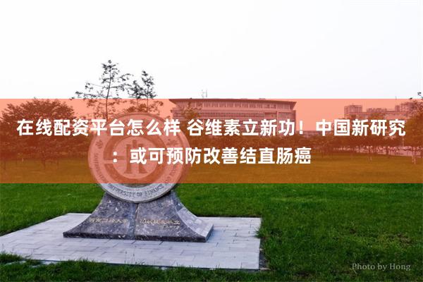 在线配资平台怎么样 谷维素立新功！中国新研究：或可预防改善结直肠癌