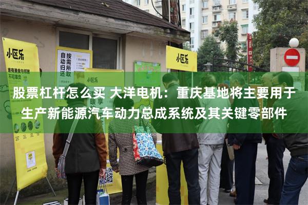 股票杠杆怎么买 大洋电机：重庆基地将主要用于生产新能源汽车动力总成系统及其关键零部件