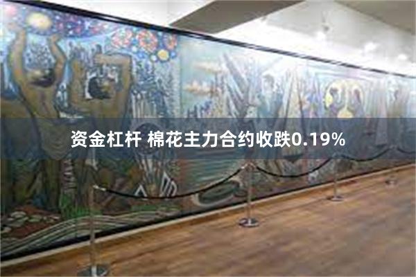 资金杠杆 棉花主力合约收跌0.19%