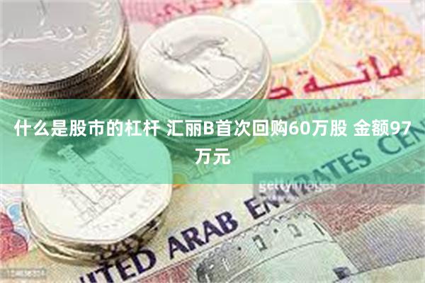 什么是股市的杠杆 汇丽B首次回购60万股 金额97万元