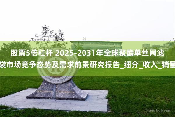 股票5倍杠杆 2025-2031年全球聚酯单丝网滤袋市场竞争态势及需求前景研究报告_细分_收入_销量