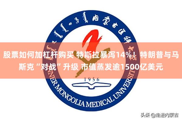 股票如何加杠杆购买 特斯拉暴泻14%！特朗普与马斯克“对战”升级 市值蒸发逾1500亿美元