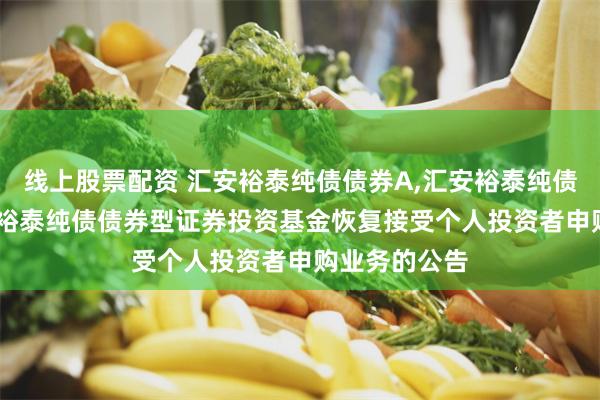 线上股票配资 汇安裕泰纯债债券A,汇安裕泰纯债债券C: 汇安裕泰纯债债券型证券投资基金恢复接受个人投资者申购业务的公告