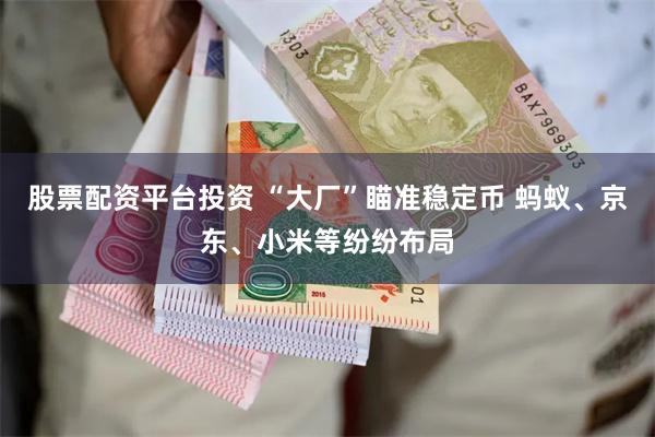 股票配资平台投资 “大厂”瞄准稳定币 蚂蚁、京东、小米等纷纷布局