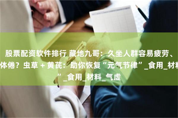 股票配资软件排行 藏地九哥：久坐人群容易疲劳、气短、体倦？虫草 + 黄芪：助你恢复“元气节律”_食用_材料_气虚