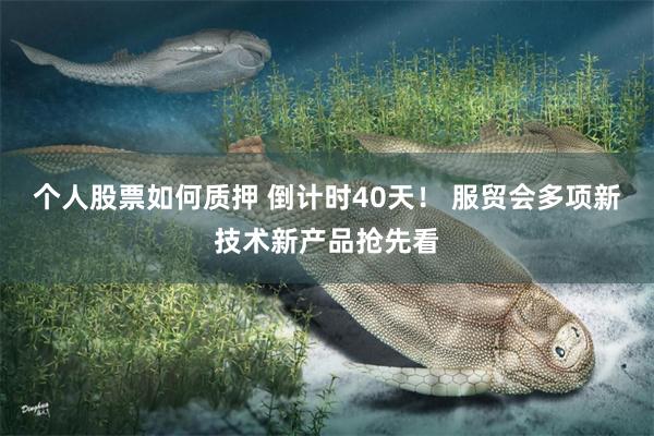 个人股票如何质押 倒计时40天！ 服贸会多项新技术新产品抢先看