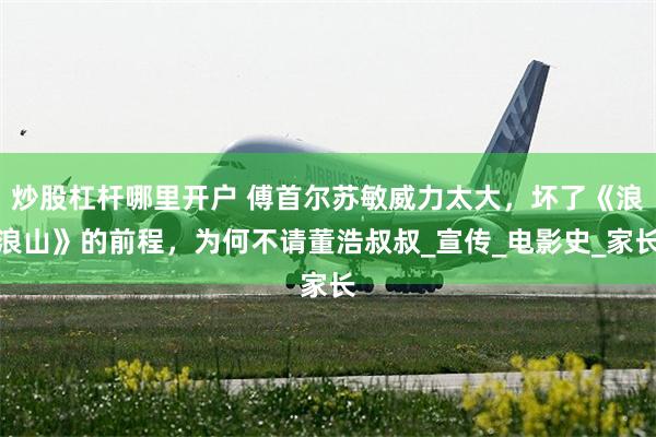 炒股杠杆哪里开户 傅首尔苏敏威力太大，坏了《浪浪山》的前程，为何不请董浩叔叔_宣传_电影史_家长