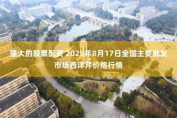 强大的股票配资 2025年8月17日全国主要批发市场西洋芹价格行情