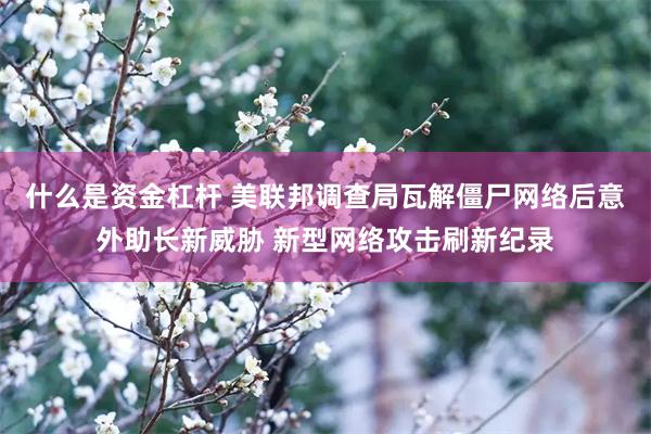 什么是资金杠杆 美联邦调查局瓦解僵尸网络后意外助长新威胁 新型网络攻击刷新纪录