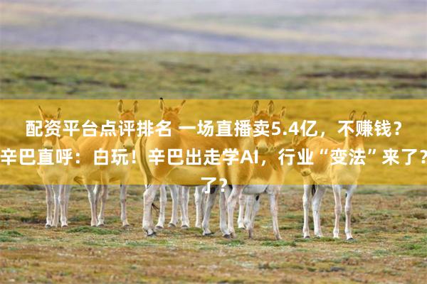 配资平台点评排名 一场直播卖5.4亿，不赚钱？辛巴直呼：白玩！辛巴出走学AI，行业“变法”来了？